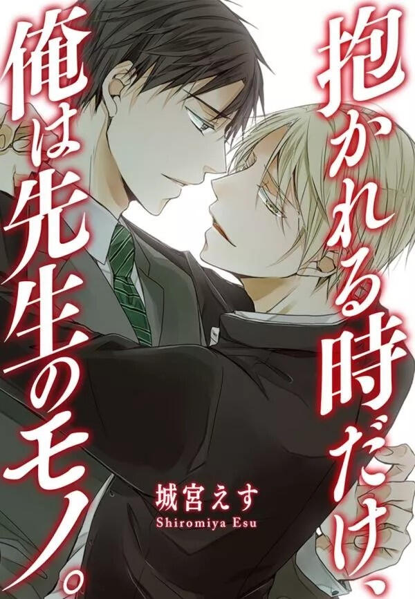 Je ne vous appartiens que dans le lit - 6 chapitres